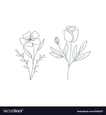 hand drawn curly grass and flowers on white