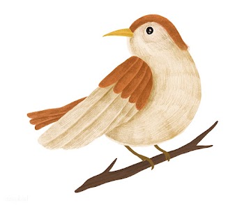 Hand-drawn cute brown sparrow on a tree branc.. | Free stock vector - 543863