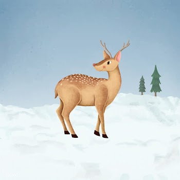 Hand-drawn cute fallow deer | Free stock vector - 543820
