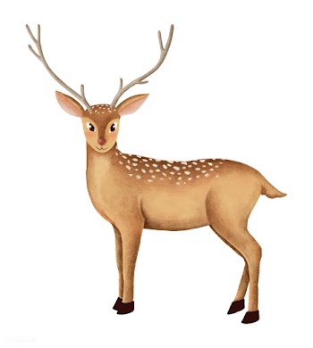 Hand-drawn cute fallow deer | Free stock vector - 543826