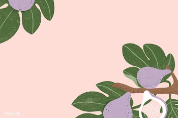 Hand drawn fig fruit branch frame design illustration | Free  illustration - 2330529