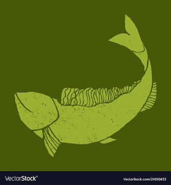 Hand drawn fish vector image
