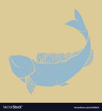 Hand drawn fish vector image