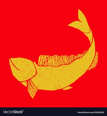 Hand drawn fish vector image