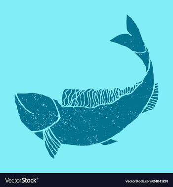 Hand drawn fish vector image