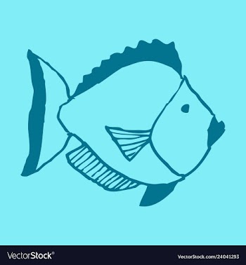 Hand drawn fish vector image