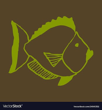 Hand drawn fish vector image