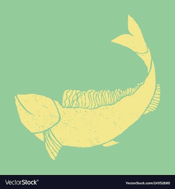 Hand drawn fish vector image