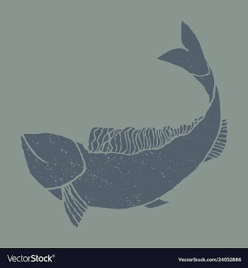 Hand drawn fish vector image