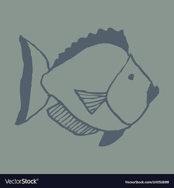 Hand drawn fish vector image