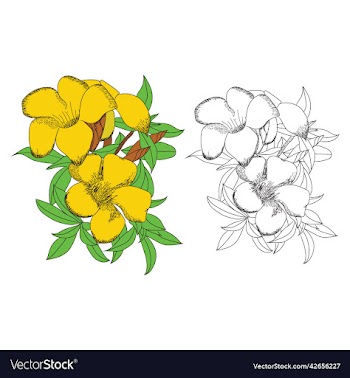 hand drawn flower for coloring books page
