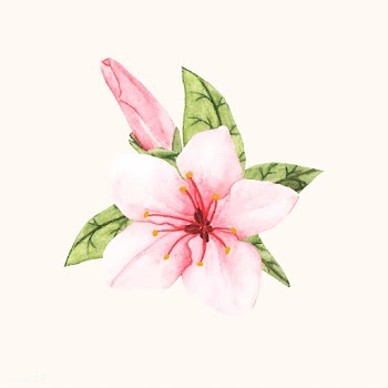 Hand drawn flower isolated | Free stock vector - 399574