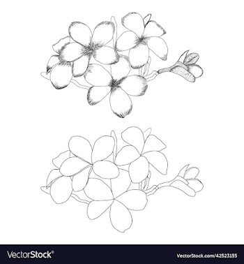 hand drawn flower sketch for coloring books page