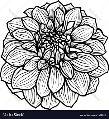 Hand drawn flower vector image