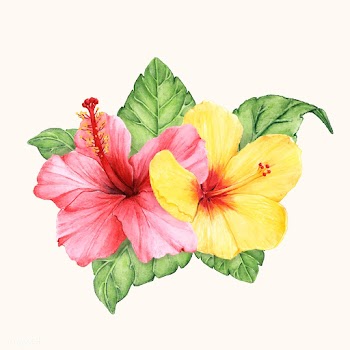 Hand drawn flower vector isolated | Free stock vector - 399616