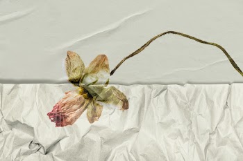 Hand drawn flower with wrinkled paper texture… | Free stock illustration | High Resolution graphic