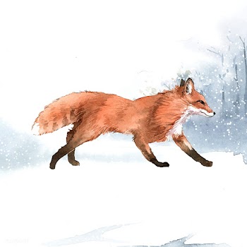Hand-drawn fox in the snow watercolor style | Free stock vector - 489521