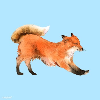 Hand-drawn fox watercolor style | Free stock vector - 489198