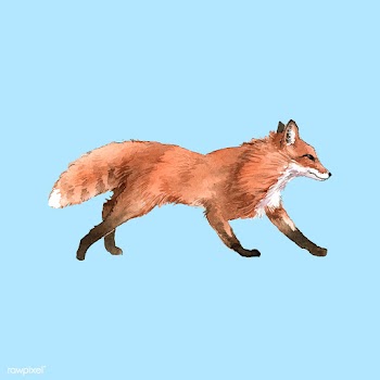 Hand-drawn fox watercolor style | Free stock vector - 489205
