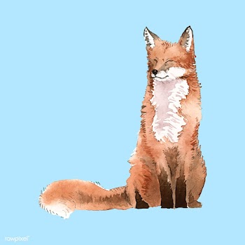 Hand-drawn fox watercolor style | Free stock vector - 489215