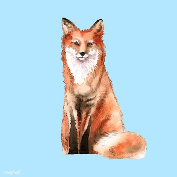 Hand-drawn fox watercolor style | Free stock vector - 489227