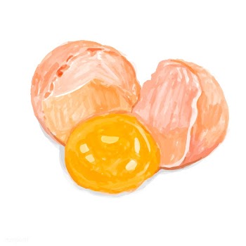 Hand drawn fresh egg watercolor style | Free stock vector - 393083
