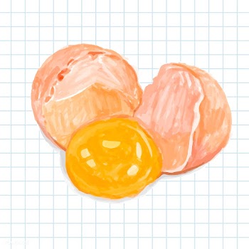 Hand drawn fresh egg watercolor style | Free stock vector - 393087