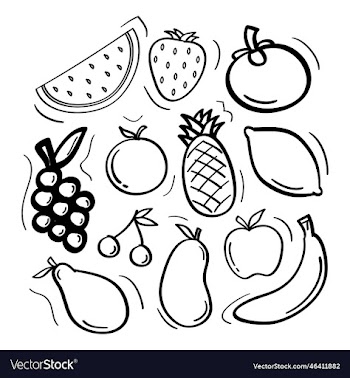 hand drawn fruits collection icon