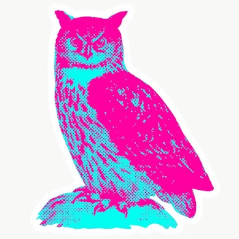 Hand drawn funky owl halftone style sticker overlay with a white borde.. | Free  transparent png - 2345237