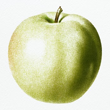 Hand drawn green apple design element | Free  illustration - 2350288