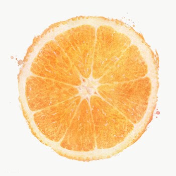Hand drawn half of an orange watercolor style design element | Free  transparent png - 2343784