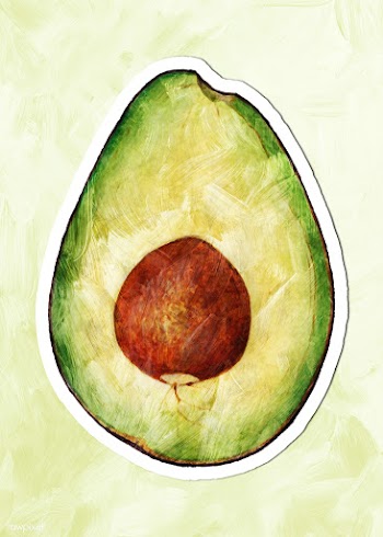 Hand drawn half of avocado fruit sticker with white border | Free  illustration - 2352922