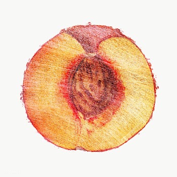 Hand drawn half of peach fruit design element | Free  transparent png - 2352218
