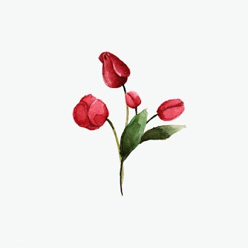 Hand-drawn hellebore flower watercolor techni.. | Free stock vector - 489167