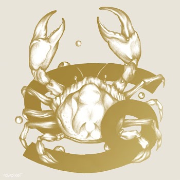 Hand drawn horoscope symbol of Cancer illustr.. | Free stock vector - 521093