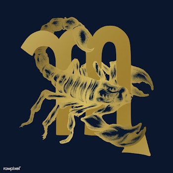 Hand drawn horoscope symbol of Scorpio illust.. | Free stock vector - 521071