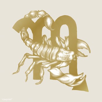 Hand drawn horoscope symbol of Scorpio illust.. | Free stock vector - 521103
