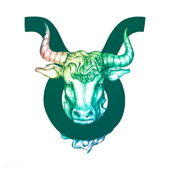 Hand drawn horoscope symbol of Taurus illustr.. | Free stock vector - 521114