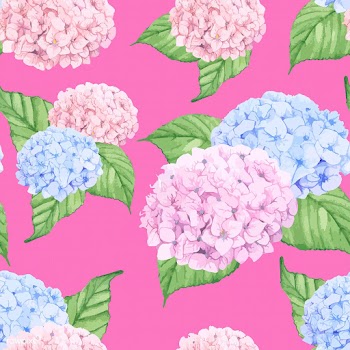 hand drawn hydrangea flower isolated | Free stock vector - 399581