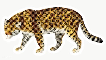 Hand drawn jaguar halftone style sticker overlay with a white border | Free  transparent png - 2346493