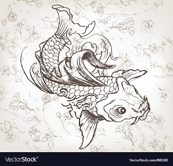 Hand drawn koi fish vector image