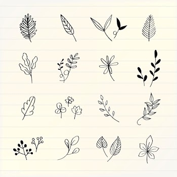 Hand drawn leaves set | Free stock vector - 580396