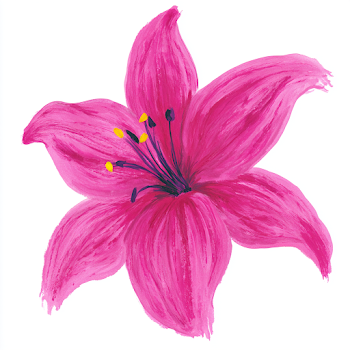 Hand-Drawn Magenta Pink Lily Flower Illustration