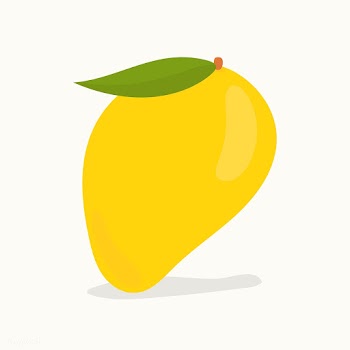 Hand drawn mango fruit illustration | Free stock vector - 417008