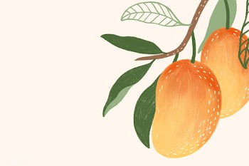 Hand drawn mango social template illustration  | Free  illustration - 2330527