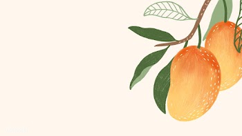 Hand drawn mango social template illustration  | Free  illustration - 2330669