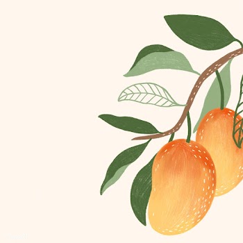 Hand drawn mango social template illustration  | Free  illustration - 2330706