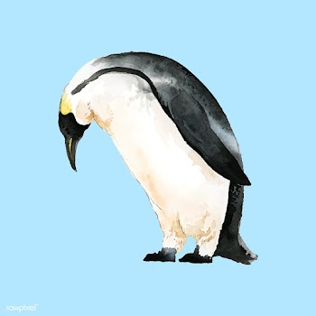 Hand-drawn mature emperor penguin watercolor .. | Free stock vector - 489261