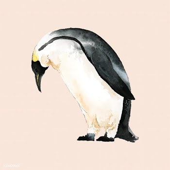 Hand-drawn mature emperor penguin watercolor .. | Free stock vector - 489264