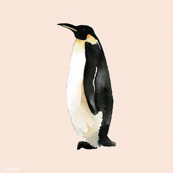 Hand-drawn mature emperor penguin watercolor .. | Free stock vector - 489309